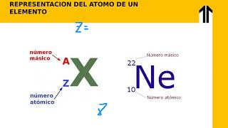 PROCESOS BIOLOGICOS 2  Semana 2 Parte 1  UPN [upl. by Ynatsyd430]