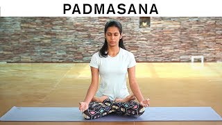 How to do Padmasana  Lotus Pose [upl. by Duquette]