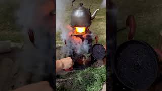 Can pine needles also burn without smoke automobile woodstove campingstove cooking bbq fire [upl. by Ahseyt]