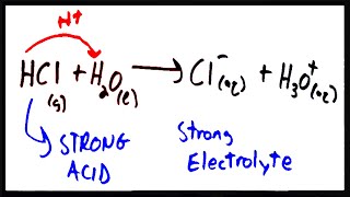 Electrolytes  Strong Electrolytes Weak Electrolytes and Nonelectrolytes [upl. by Nissensohn]