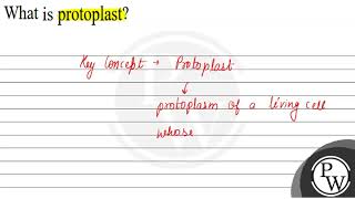 What is protoplast [upl. by Olaznog]