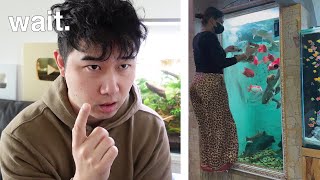 Instagram VS Reality  Fish Tank Review 261 [upl. by Cogn]