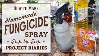 ★ How to Make Cheap Homemade Fungicide Complete Step by Step Guide [upl. by Lennahs]