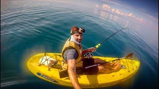 Roosterfish In Costa Rica  Insane Kayak Fishing [upl. by Franck444]