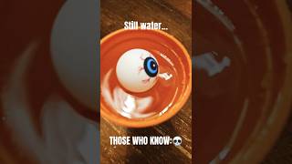 STILLWATERMP4 stillwater thosewhoknow skullemoji scary disturbing meme bowser eyeball [upl. by Eldredge]