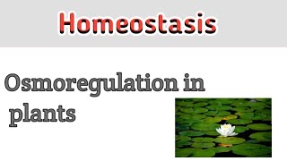 Osmoregulation in plants  Homeostasis [upl. by Eeloj]