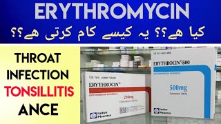 Erythrocin Erythromycin 500MG Tab Uses amp Side Effects In Urdu Hindi  Erythromycin For Sore Throat [upl. by Lawrenson]