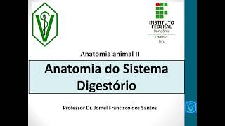 Anatomia do Sistema Digestório Dos Animais Monogástricos e Poligástricos  Parte 01 [upl. by Torrey]