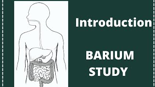 Barium Study Radiology  Barium study procedure  Barium study test [upl. by Cynara]