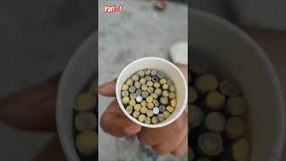 MATCHBOX 💣🔥 firecracker foryou diwalispecial crackers diwali homemade shorts [upl. by Salem]