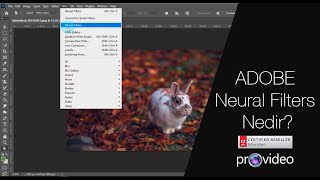 Adobe Sensei yapay zeka ile sınırları zorlayın Photoshop Neural Filters Provideo [upl. by Adikram286]