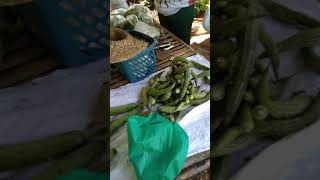 buying vegetables [upl. by Aserahs]