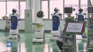 Robots de servicio estarán en todos los rincones de la vida Siasun [upl. by Nilat]