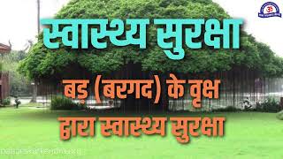 बरगद के वृक्ष द्वारा स्वास्थ्य सुरक्षा  Amazing Benefits of Banyan Tree  बरगद के फायदे क्या है [upl. by Eeleimaj]