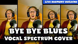 10 minutes to record the best Vocal Spectrum song [upl. by Elleral]