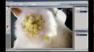 Photoshop Selection Tools Part 2 [upl. by Ettegroeg]