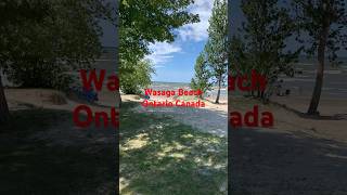 Wasaga Beach Collingwood Ontario Canada shortvideo [upl. by Naxor9]