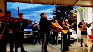 Hermoso Cariño  Mariachi Aztecas de Oro [upl. by Ahsilak]