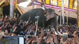 Thirunnakara pakal pooram 2019 pampadi Rajan mass entry [upl. by Deena]