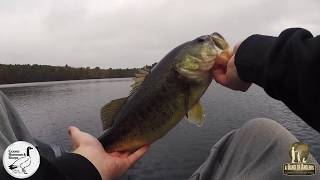 Fall Largemouth Bass Fishing with the Dartspin Pro 55quot Dartspin Review [upl. by Nnylyram442]