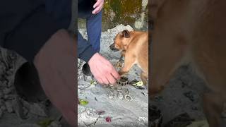 He found priceless beach pirate treasure hidden 🤑😱  shorts metaldetecting ytshorts find [upl. by Richman3]