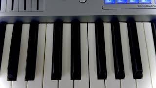 A VENDRE Clavier Arrangeur Professionnel YAMAHA TYROS 5 [upl. by Yauqram288]