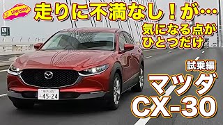 不満のない走り味！だが…？ マツダ CX30を ラブカーズtv 河口まなぶ が試乗インプレッション！ [upl. by Elysee]