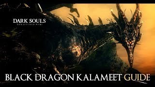 how to kill black dragon kalameet dark souls remastered the easy way [upl. by Kyd302]