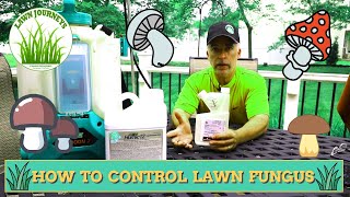 How to Control Lawn Fungus [upl. by Ricoriki]