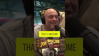 Scott Storch tells Joe Rogan hanging out with Mike Tyson felt like the hangover movie [upl. by Reitman]