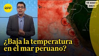 Fenómeno El Niño ¿Comienza a descender la temperatura del mar en el Perú [upl. by Shewchuk108]