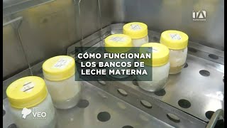 TE VEO ECUADOR  CÓMO FUNCIONAN LOS BANCOS DE LECHE MATERNA [upl. by Ploss]