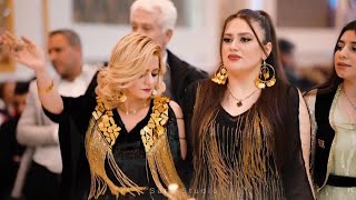 Best Kurdish wedding by Farshad amini harira  Kurdish dance 2023 [upl. by Onyx]