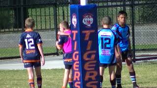 Toongabbie Tigers v Canley Heights U12s Round 9 2018 [upl. by Magas]