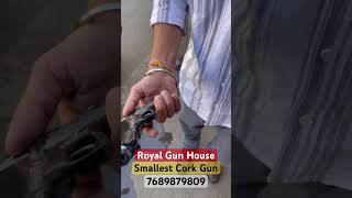 Smallest Cork In Airguns In Mount Abu bhoolbhulaiyaa3 music song airgun co2 amritsinghrao [upl. by Neroc]