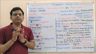 Anticholinergic Drugs I Antimuscarinic Drug  Cholinergic Blocker  Para sympatholytic Drugs HINDI [upl. by Nilam212]