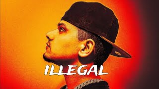 Dhanda Nyoliwala Illegal Song  DNW Vol1  New Haryanvi Hiphop Song ringtonehub [upl. by Nahsar412]