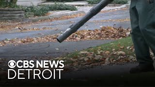 Gaspowered leaf blower ban starts June 1 in Ann Arbor [upl. by Shalom]