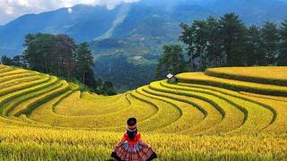 Vietnam Photography Tour Thac Ba Lake Mu Cang Chai Duong Lam Quang Phu Cau and Thu Sy Villages [upl. by Anitsirhc215]