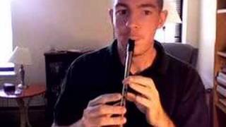 Tin Whistle Carmel Mahoneys [upl. by Hatnamas]