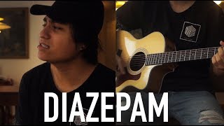 Turnover  Diazepam Acoustic Cover [upl. by Wiseman39]