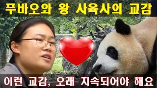 🐼푸바오와 왕 사육사의 교감이 💥빛나 보입니다 이런 좋은 😍상호작용이 지속되기를 바랍니다 [upl. by Josee]