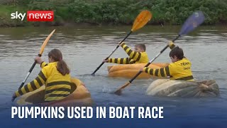 Belgium Town of Kasterlee holds annual pumpkin boat race [upl. by Lipfert]