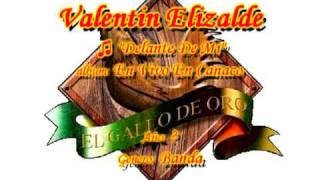 Delante De Mi  Valentin Elizalde [upl. by Jacobina]