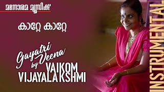 Katte Katte  Vaikom Vijayalakshmi  Film song in Gayathri Veena  Celluloid  Instrumental Music [upl. by Aniela]