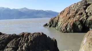 Beluga Point Turnagain Arm Alaska tide [upl. by Haim]