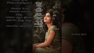 Sagayane song lyrics 💞 Sheraya Ghosal  D Imman BharaniEditZ [upl. by Rosina]