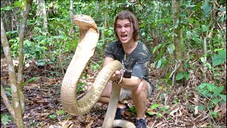 Surviving with Giant KING COBRA in Jungle of BALI [upl. by Nonad122]