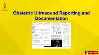 Obstetric Ultrasound Reporting and Documentation [upl. by Jenna]