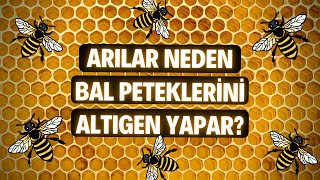 ARILAR NEDEN BAL PETEKLERİNİ ALTIGEN YAPAR [upl. by Llenrrad]